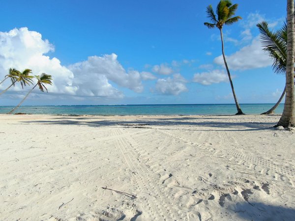Guida esclusiva per scoprire le cantine pi√π prestigiose del piemonte: come pianificare la tua visita perfetta!